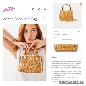 NWT- Beautiful dainty straw bag with (wrapped) removable gold chain crossbody